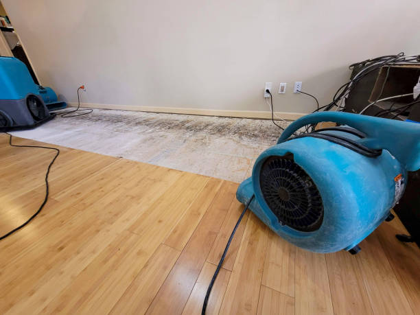 Professional Sewage Cleanup technician working in Sagamore, MA